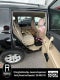 2013 Toyota Highlander Base Plus V6
