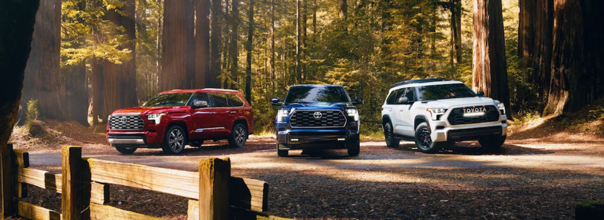 Three Toyota Sequoia SUVs parked in a forest
